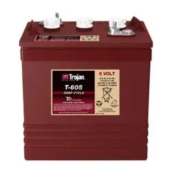 Battery TROJAN T-605