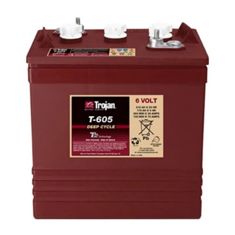 Battery TROJAN T-605