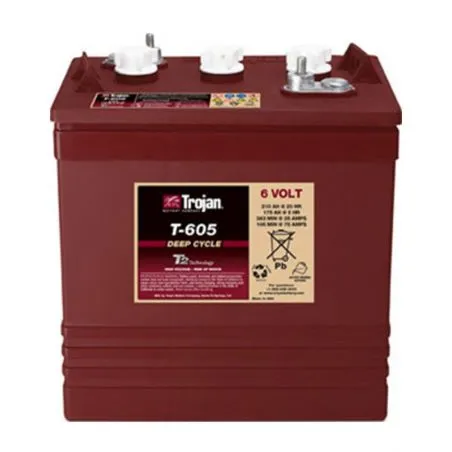 Battery TROJAN T-605