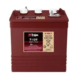 (old model) Trojan Motive T-125 6V 240Ah Deep-Cycle Flooded Lead-Acid Battery