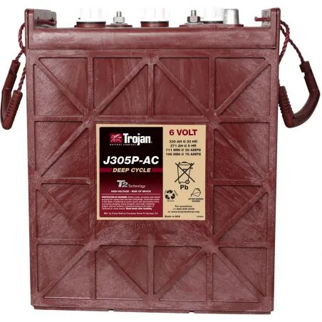 Battery Trojan J305P-AC