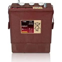 Battery Trojan J305HG-AC