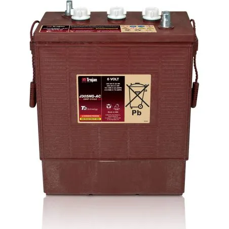 Battery Trojan J305HG-AC