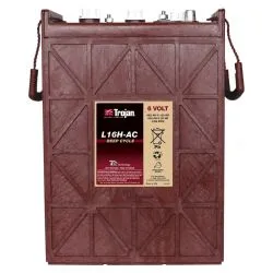 Battery Trojan L16H-AC