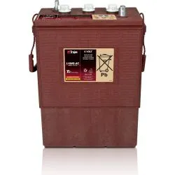 Battery Trojan L16HG-AC