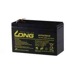 Lead-Acid AGM Battery 12V 9Ah LONG WP1236W