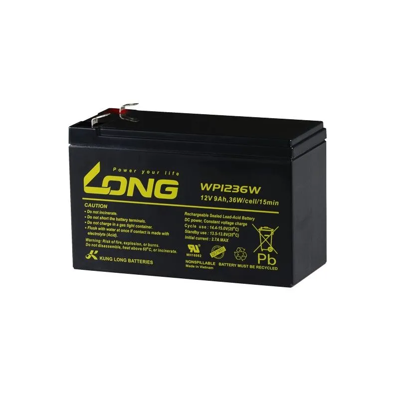 Lead-Acid AGM Battery 12V 9Ah LONG WP1236W