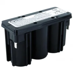 Battery EnerSys CYCLON Monobloc D cell 6V 2.5Ah