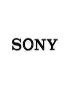 Cameras and video Sony batteries